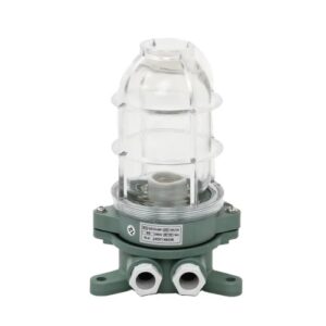 Marine Pendant Light CCD-6-2